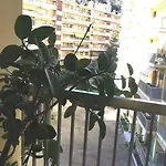 شقة Santa Severina, Trilocale Comodo E Pratico Centro Citta مينتون